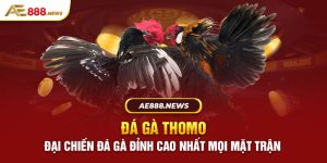 Đá gà thomo