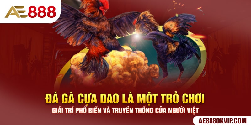 Đá gà cựa dao là một trò chơi giải trí phổ biến và truyền thống của người Việt